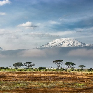 Логотип @manjaro - Mount Kilimanjaro, travel info