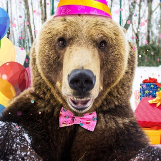 Логотип @mansurbear - 🐻Медведь Мансур