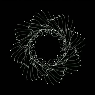 Логотип @mantras - 🄼🄰🄽🅃🅁🄰🅂
