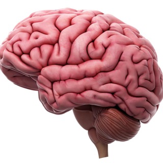 Логотип @manualdagestana - Manual