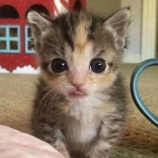 Логотип @mar_nakagawa - mar