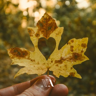 Логотип @marafon_dobroty - Марафон добрих справ