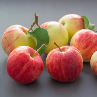 Логотип @marakanohka - Полезный