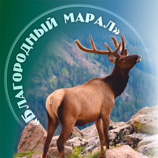 Логотип @maralnikblagorodnymaral - Маральник «Благородный Марал»