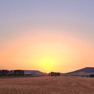 Логотип @maralonsomoreno - Mar Alonso