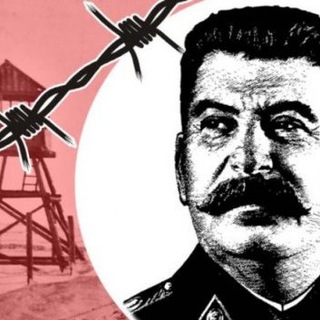 Логотип @marazmRT - Хроники Маразма