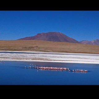 Логотип @marcelaesclarece - Marcela Rodríguez - médico Aclaracionista