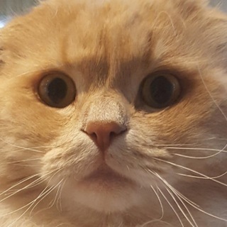 Логотип @marcelkow_crypto - Марсель печатает...