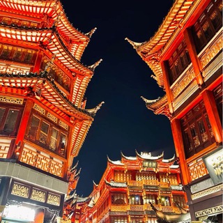 Логотип @maremkaimovaacademic - Карго 9298