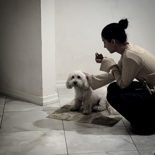 Логотип @mari_vard - the mari |.