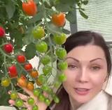 Логотип @maria_ogorod - Машин огород и вкусная еда