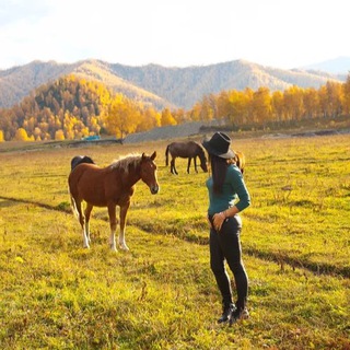 Логотип @maria_petrenko_lomanova - Йога и Путешествия с Марией Ломановой
