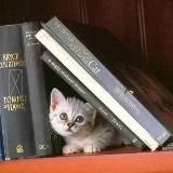 Логотип @mariapsychannel - 📚 КНИГИ ПСИХОЛОГИЯ 📚 MariaPsyCards