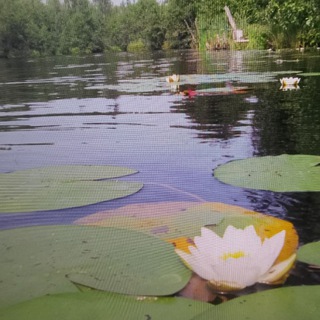 Логотип @marichodra12 - Удивительный Марийский край🌿🌲