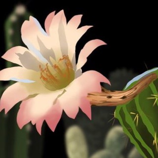 Логотип @mariel_vv - Мариэльская Vпадина 👁