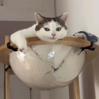 Логотип @marinaakambaeva1 - мемасы в массы