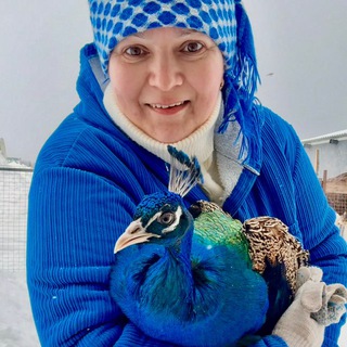 Логотип @marinavasileva_familyfarm - 🙋‍♀Семейная ферма🦃