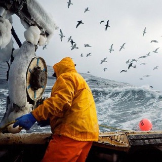 Логотип @marineagencyvv - Company "Marine AgencyVV "