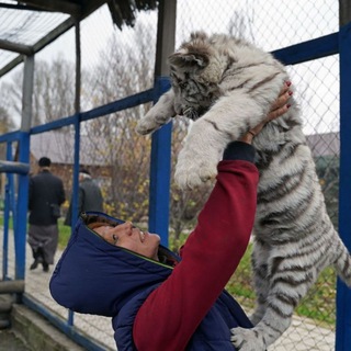 Логотип @mariupol_zoo_life - Чат зоопарка Мариуполя
