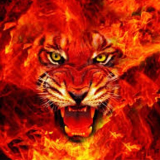 Логотип @markasperumustogel - Master Lion 777