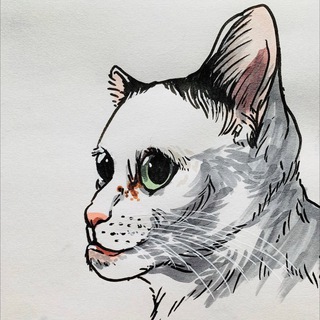 Логотип @marketcircles - Рыночные циклы для детей(котов)