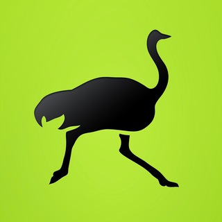 Логотип @marketdeliverynews - Маркет Деливери