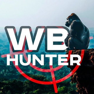 Логотип @marketsaleee - WB HUNTER 💢