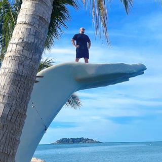 Логотип @markgrozny - Mark Grozny