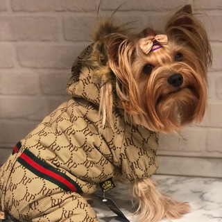 Логотип @markusshop - Markus shop Одежда для собак