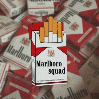 Логотип @marlboro_squad - ⌞ 𝘔𝘢𝘳𝘭𝘣𝘰𝘳𝘰 𝘚𝘲𝘶𝘢𝘥 ⌝