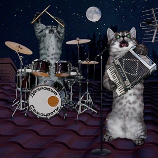 Логотип @marsianskaya_muzika - Музыкальный котик