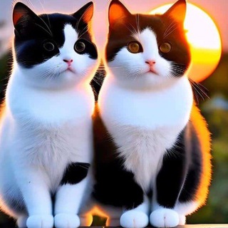 Логотип @marsthisong - DJ Marathi Hindi Song🎼🎶