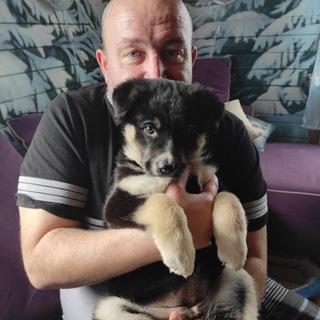 Логотип @martadoma - МартаДома🐾