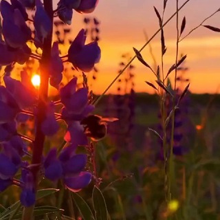 Логотип @martamartha123 - Марта Марта