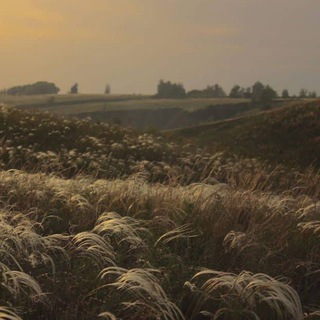 Логотип @maruiskkaa - уютный уголок