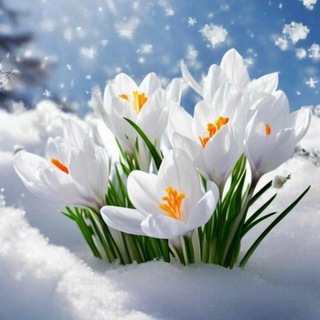 Логотип @marunchik - Primavera