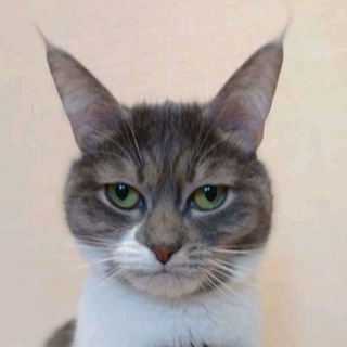 Логотип @marusya_coach - Маруся мотивирует