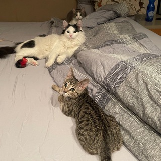 Логотип @marveliloki - МАРВЕЛ | ЛОКИ | ПЕППЕР