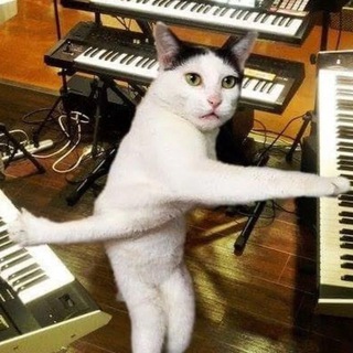 Логотип @mary_gu17 - Mary Gu