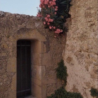 Логотип @maryamdiy - Taliba