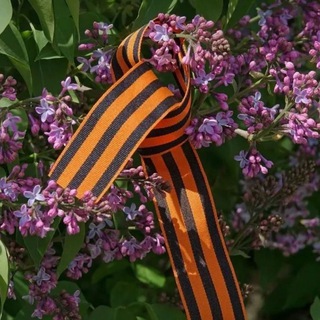 Логотип @maryana_russian - Русская медведица 🇷🇺 Марьяна