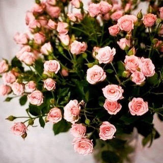 Логотип @marybrazgovska_live - Эфиры ❤