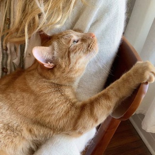 Логотип @marzandpanna - Марц і Панна