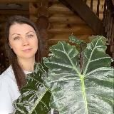 Логотип @masha_domaa - Маша дома