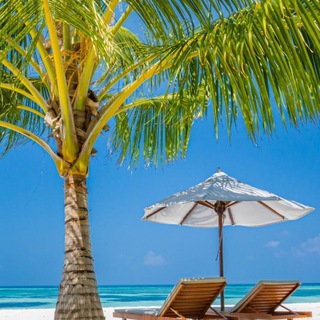 Логотип @mashapurgina93 - Путешествие 🗺️ Горячие туры ✈️ онлайн