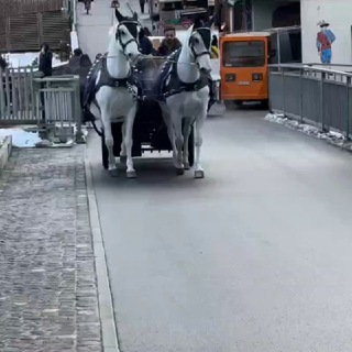 Логотип @masofada24 - MASOFA