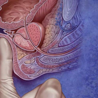 Логотип @massajprostata - Массаж простаты