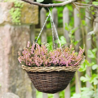 Логотип @master_loza - Lozamaster🌾