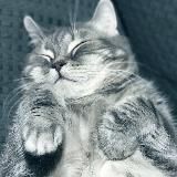 Логотип @master_pera - Мастер пера