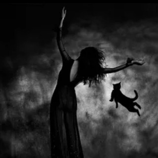 Логотип @master_veda - Occultus_raid